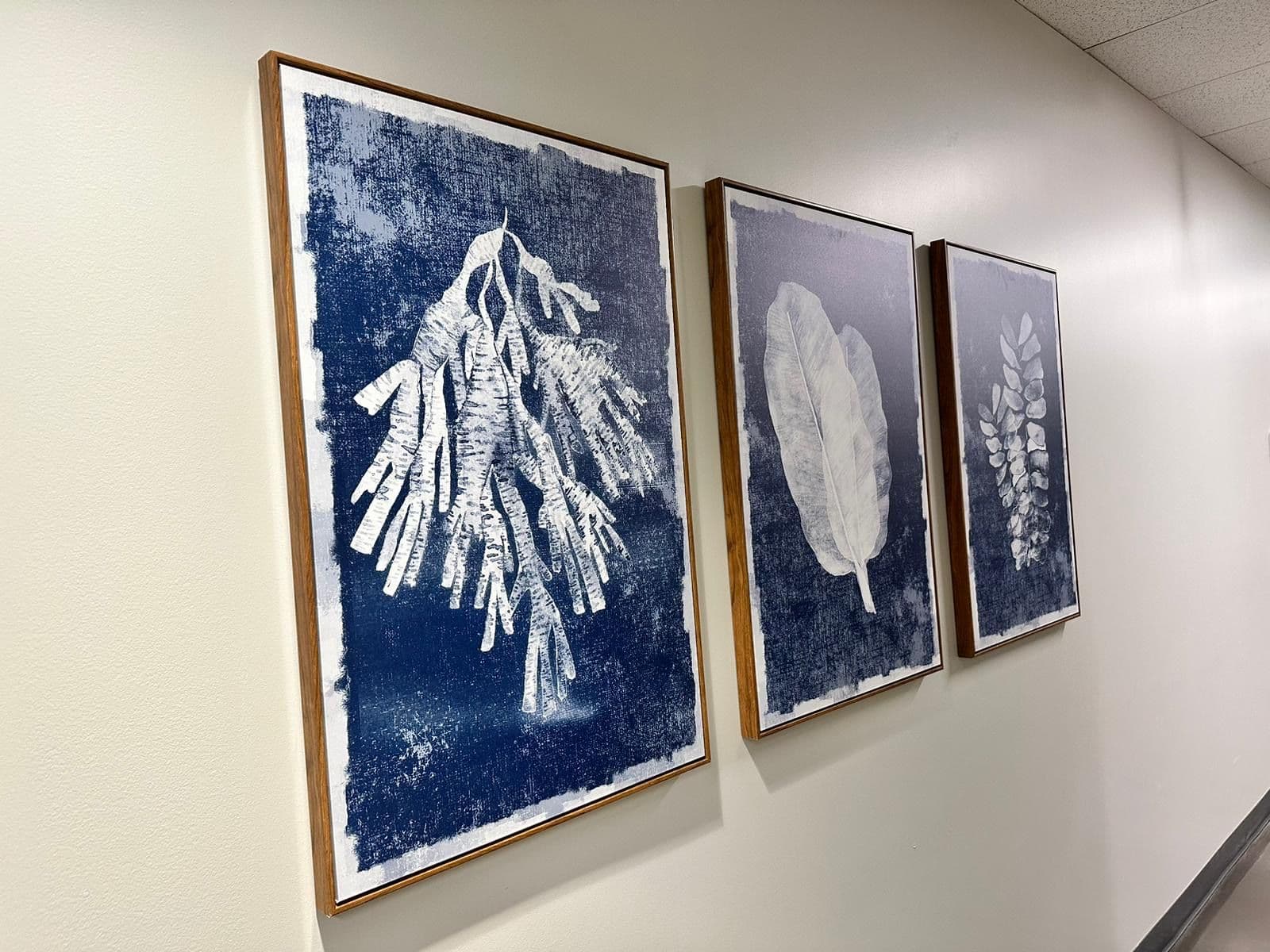Picture Hanging completed by Vicmar